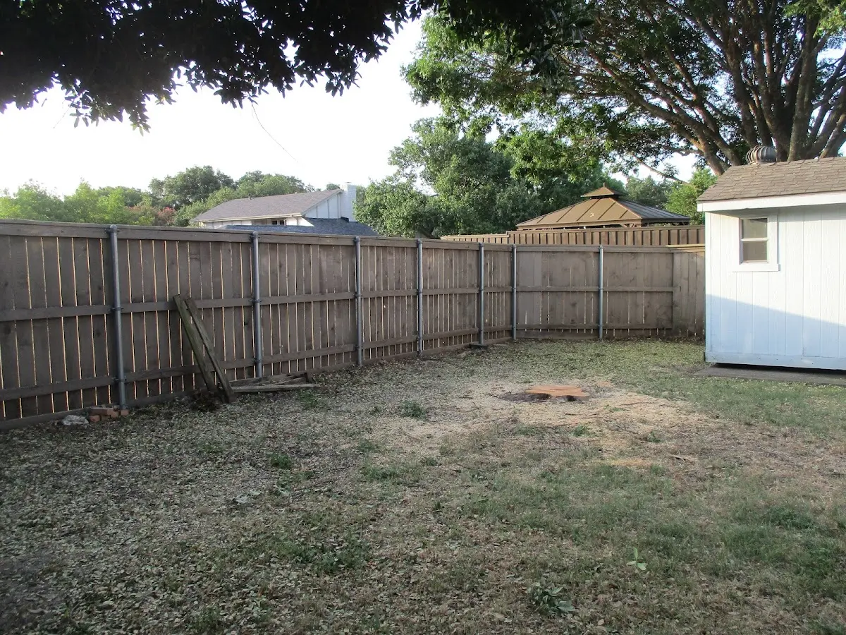 Cleared yard after professional tree removal in Halls